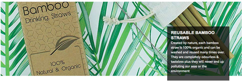 Bamboo Straws By Flow Eco Straws