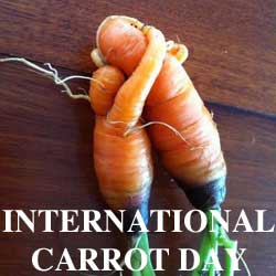 INTERNATIONAL CARROT DAY